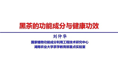 茶的功能成分與健康功效 | 茶、飲茶與健康