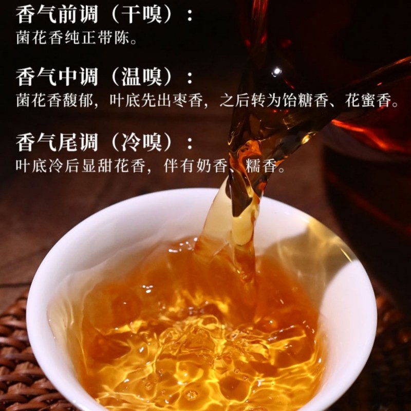 湖南正宗安化黑茶白沙溪五年陳福天下直泡320g盒 湖南正宗安化黑茶白沙溪五年陳福天下直泡320g盒