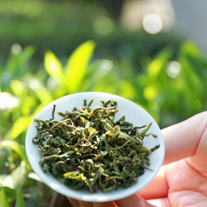 驕楊綠茶 驕楊綠茶