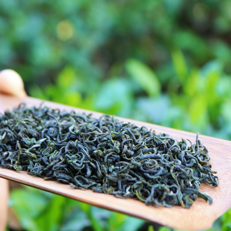 驕楊綠茶 驕楊綠茶