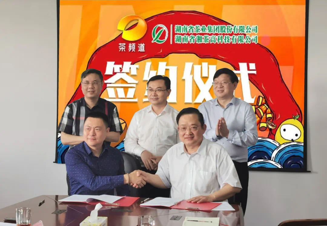 院士見證，輕輕茶發(fā)力品牌建設(shè)，與茶頻道達(dá)成深度合作